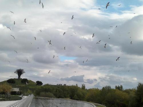 En el Camino ...Toma decisiones En el Camino ...Toma decisiones