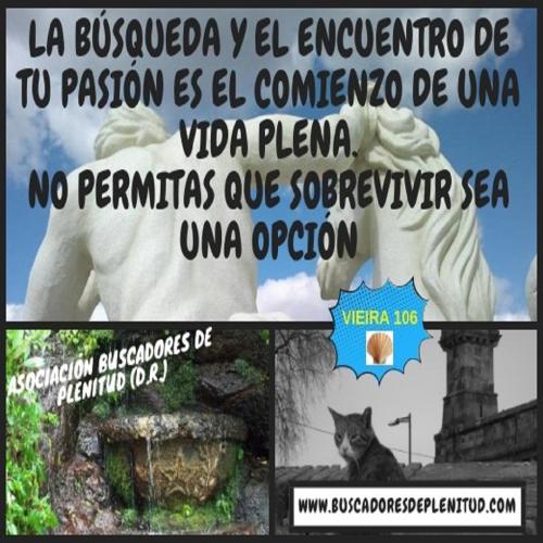 Vieiras 106... La Búsqueda... Vieiras 106... La Búsqueda...