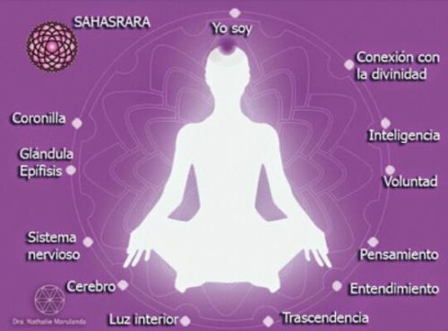 "Chakra Corona y su interpretación: Nuestros Centros Energéticos" "Chakra Corona y su interpretación: Nuestros Centros Energéticos"