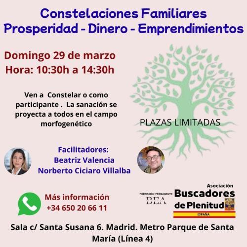 Constelaciones Familiares Prosperidad - Dinero - Emprendimientos Constelaciones Familiares Prosperidad - Dinero - Emprendimientos