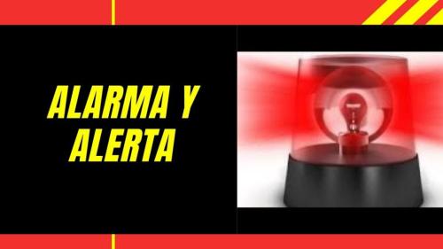 Alarma/Alerta. Distinciones en el Coaching (Parte 2) Alarma/Alerta. Distinciones en el Coaching (Parte 2)