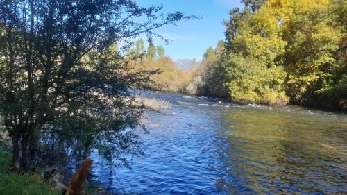 EVOLUCIÓN CONSCIENTE a través del Tarot y el Árbol de la Vida - Concha Borrero - Entrevista. EVOLUCIÓN CONSCIENTE a través del Tarot y el Árbol de la Vida - Concha Borrero - Entrevista.