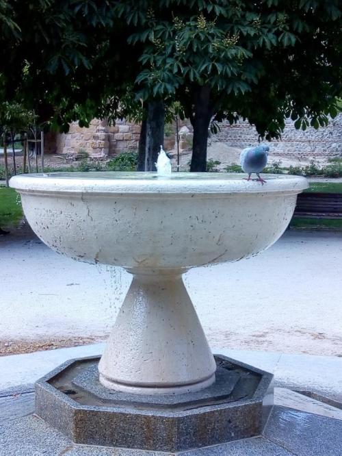 Vídeo: Perdón y Autoestima Vídeo: Perdón y Autoestima