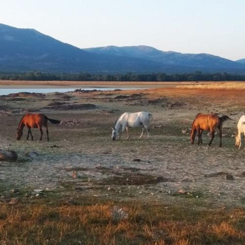 Deseos o Realidades Deseos o Realidades