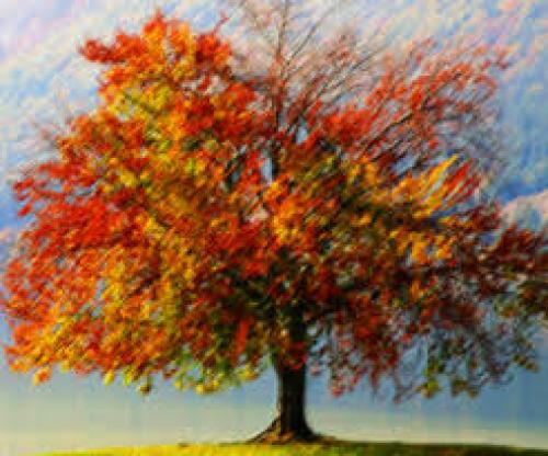 Vídeo: El lenguaje simbólico de nuestro espíritu y sus aprendizajes Vídeo: El lenguaje simbólico de nuestro espíritu y sus aprendizajes