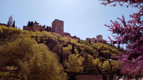 La Incertidumbre o Nuestro Propósito de Vida La Incertidumbre o Nuestro Propósito de Vida