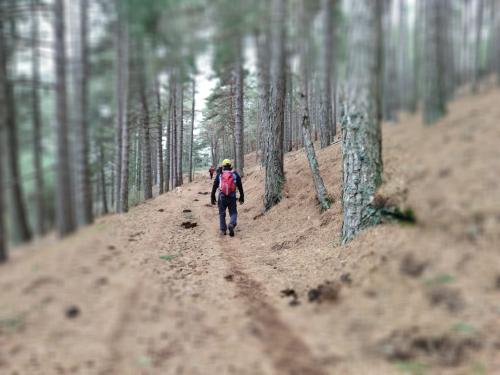 Konstantino Kavafis en Buscadores de Plenitud Konstantino Kavafis en Buscadores de Plenitud