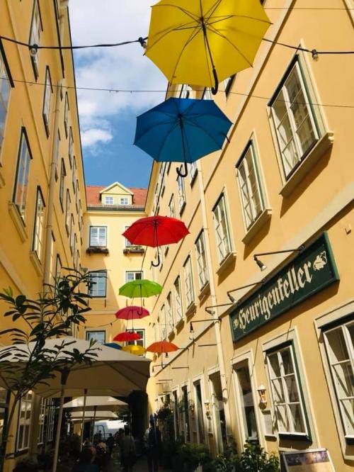 Madelin Bensdorp en Buscadores... Madelin Bensdorp en Buscadores...