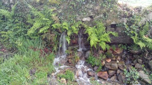 Meditación Círculo de Paz Meditación Círculo de Paz