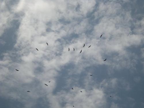 Vídeo: "Meditación Un SER Responsable" Vídeo: "Meditación Un SER Responsable"