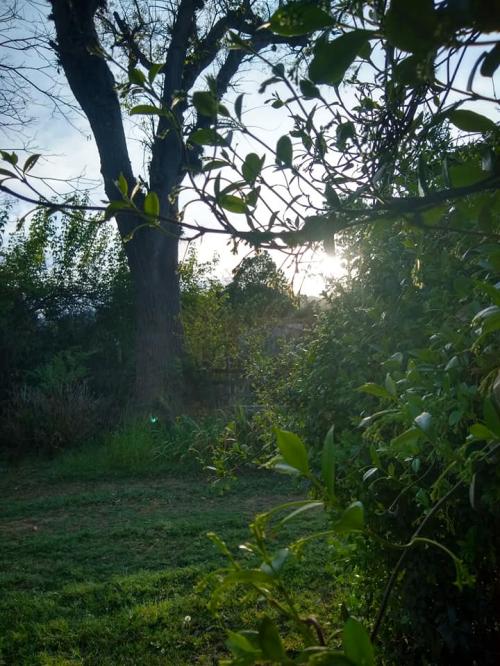 Lo aprendí en Santiago de Compostela Lo aprendí en Santiago de Compostela