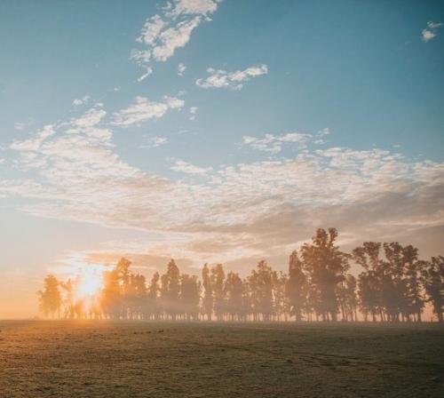 Suelta, Agradece y Continúa... Dejar atrás y vivir el Presente Suelta, Agradece y Continúa... Dejar atrás y vivir el Presente