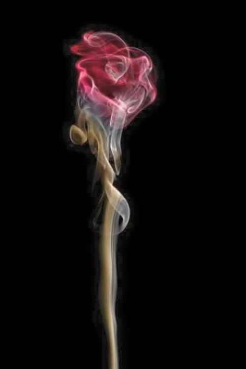 Serie Amigos Queridos: Teresa de Ávila Serie Amigos Queridos: Teresa de Ávila