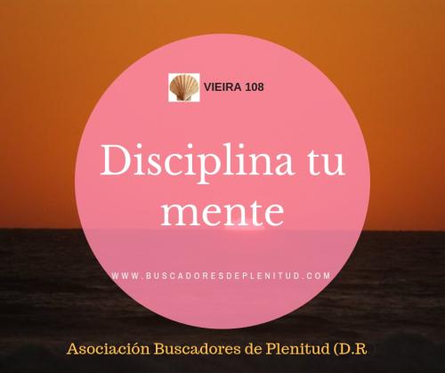 Vieira 108 Vieira 108