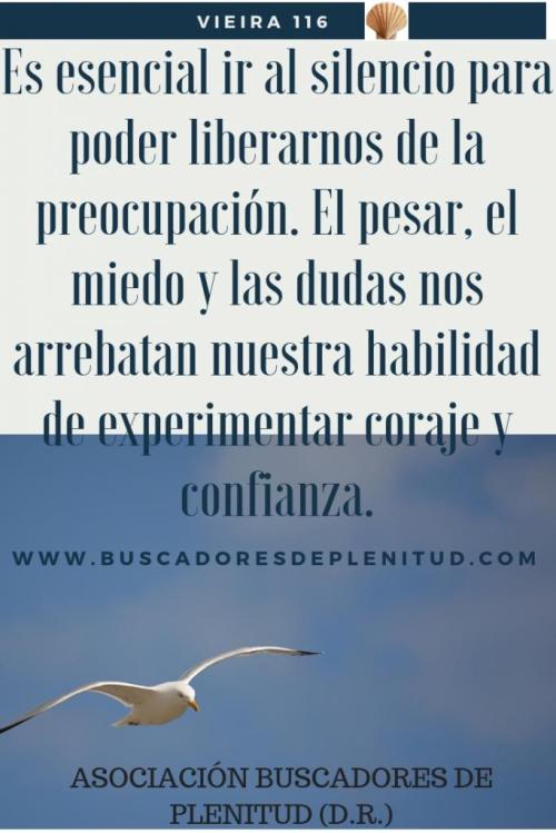 Vieira 116 Vieira 116