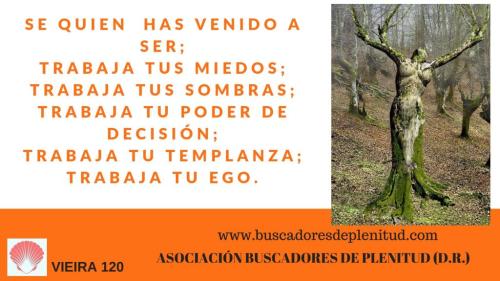 Vieira 120 Vieira 120