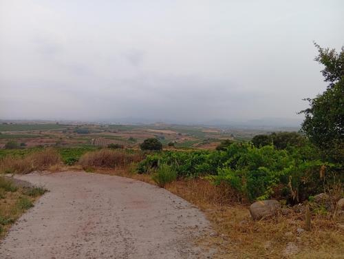 Vídeo Charla Formativa El arte para aprender a amar Vídeo Charla Formativa El arte para aprender a amar