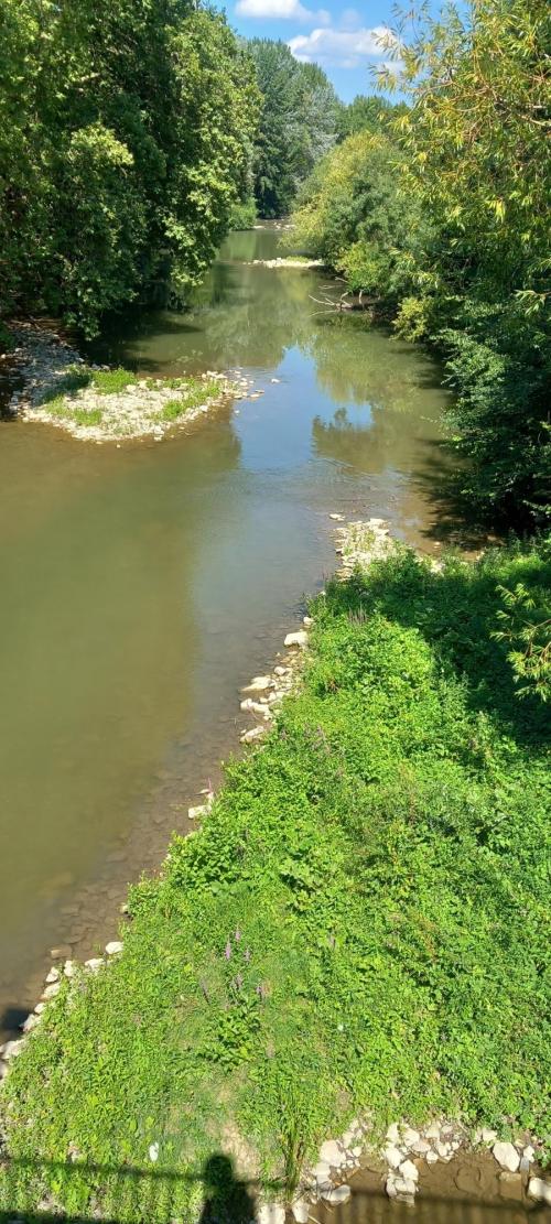 Vídeo: "Meditación Iluminación" Vídeo: "Meditación Iluminación"