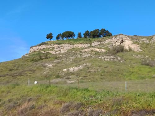 Vídeo: "5to Hábitos de la gente altamente efectiva" Vídeo: "5to Hábitos de la gente altamente efectiva"
