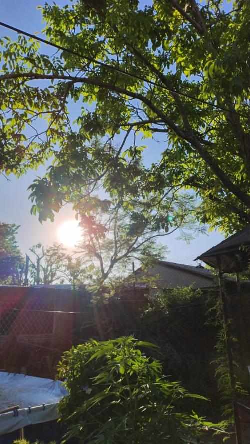 Siempre nuestra elección Siempre nuestra elección