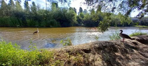 Vídeo: "Comprendiendo el Miedo (Parte 2)" Vídeo: "Comprendiendo el Miedo (Parte 2)"