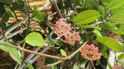 Abramos nuestro corazón Abramos nuestro corazón