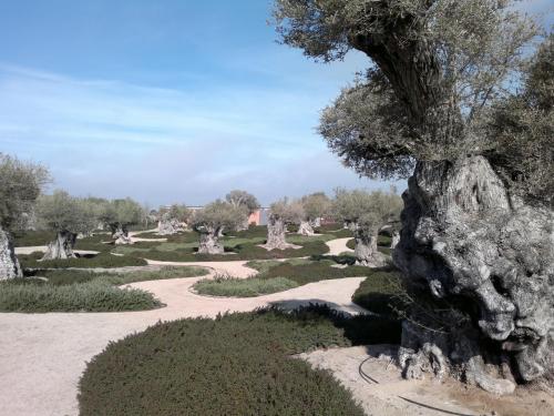 Mente perezosa... Mente perezosa...