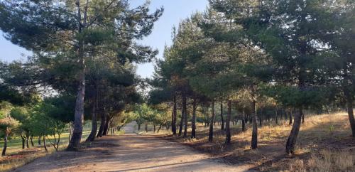 El Ego no quiere CAMBIAR - Parte 2 El Ego no quiere CAMBIAR - Parte 2