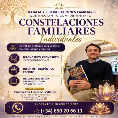 Sesiones Individuales de Constelaciones Familiares Sesiones Individuales de Constelaciones Familiares