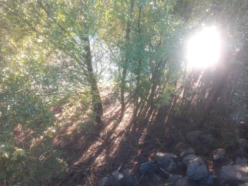 Vídeo: "Actos de Servicio - Los Lenguajes del Amor" Vídeo: "Actos de Servicio - Los Lenguajes del Amor"