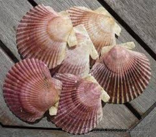 Vídeo: "Tiempo de Calidad - Los Lenguajes del Amor" Vídeo: "Tiempo de Calidad - Los Lenguajes del Amor"