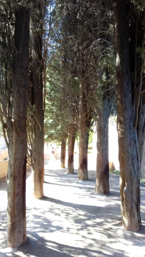 Sueños y plan de acción... Sueños y plan de acción...