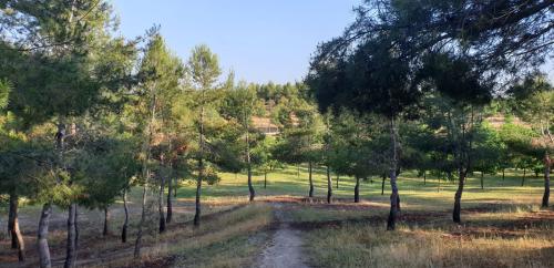 Es esencial... Es esencial...