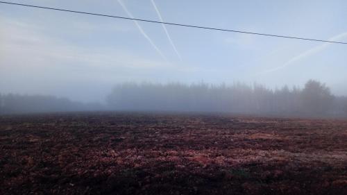 Meditación Previa 05 Autosanación Soplar Rosas (Actualizada) Meditación Previa 05 Autosanación Soplar Rosas (Actualizada)