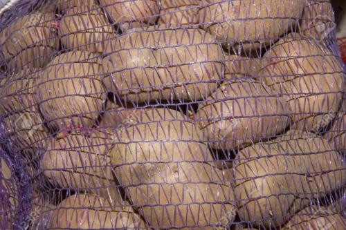 Un día me decidí... Un día me decidí...