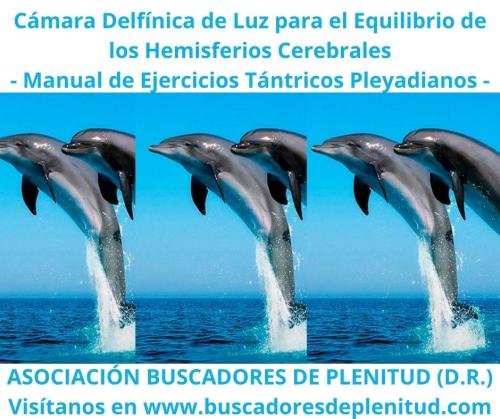 Cámara Delfínica para el Equilibrio de Hemisferios Cerebrales Cámara Delfínica para el Equilibrio de Hemisferios Cerebrales