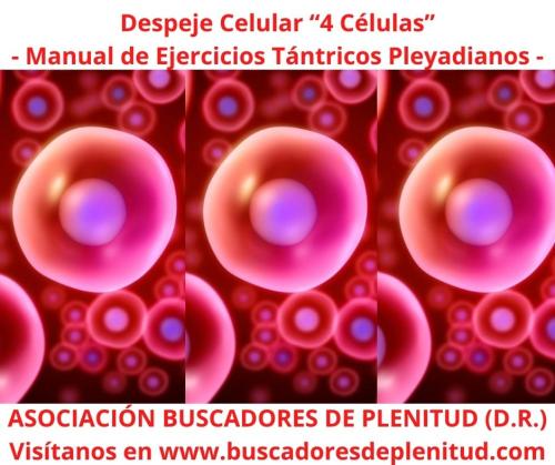 Despeje Celular "4 Células" Despeje Celular "4 Células"