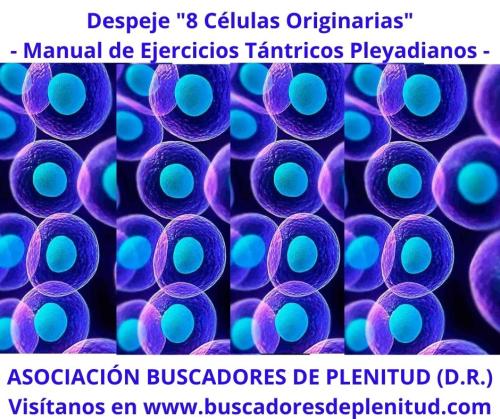 Despeje y Sanación Celular "8 células" Despeje y Sanación Celular "8 células"