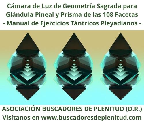 Cámara de Luz de Geometría Sagrada Pineal y Prisma 108 Facetas Cámara de Luz de Geometría Sagrada Pineal y Prisma 108 Facetas
