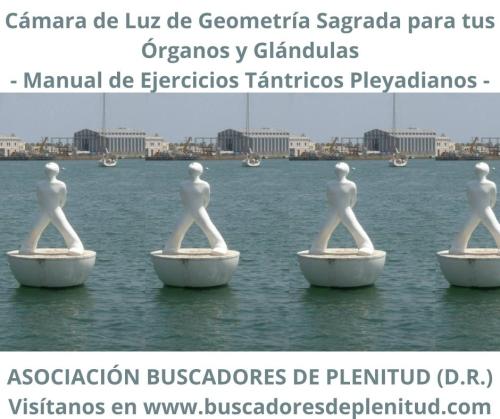Cámara de Luz de Geometría Sagrada para Órganos y Glándulas Cámara de Luz de Geometría Sagrada para Órganos y Glándulas