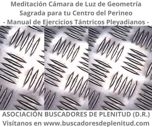 Cámara de Luz de Geometría Sagrada para tu centro del Perineo - Ejercicios Tántricos Pleyadianos 6 Cámara de Luz de Geometría Sagrada para tu centro del Perineo - Ejercicios Tántricos Pleyadianos 6