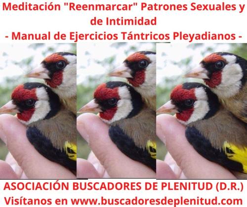 Re-enmarcar Patrones de Roles y de Intimidad Re-enmarcar Patrones de Roles y de Intimidad