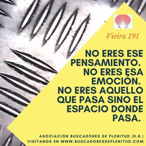 Vieira 191 Vieira 191