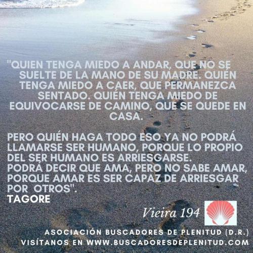 Vieira 194 Vieira 194