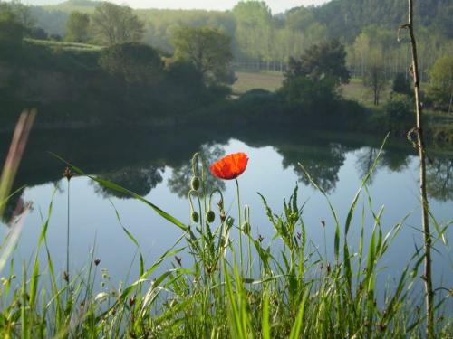 Meditación Compasión por un ser querido Meditación Compasión por un ser querido