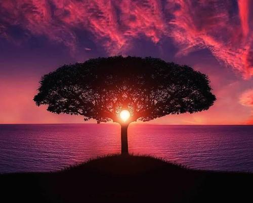 Osho en Buscadores Osho en Buscadores