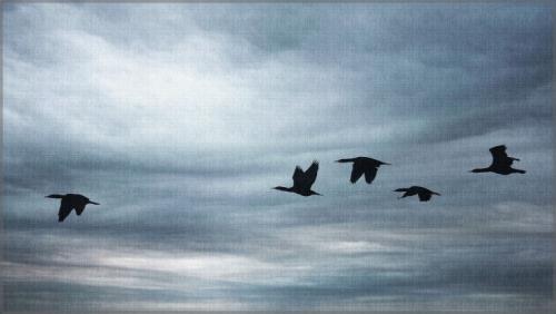 Algunas cuestiones importantes Algunas cuestiones importantes