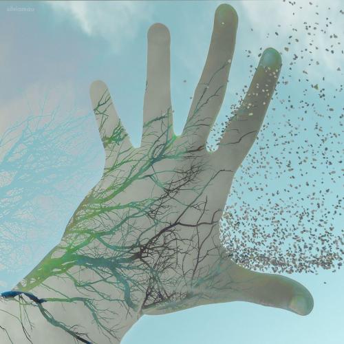 Beneficios de la iniciación en Reiki Nivel II Beneficios de la iniciación en Reiki Nivel II