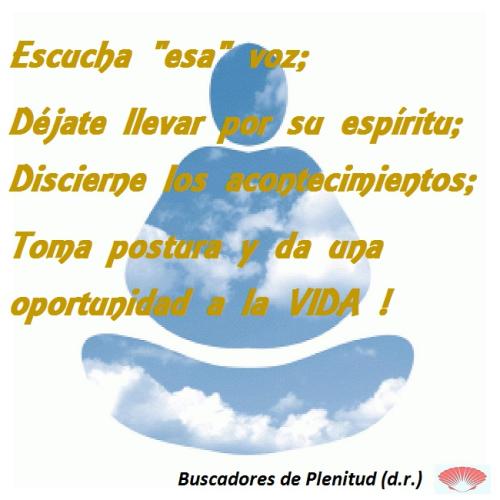 Vieiras 30 Vieiras 30