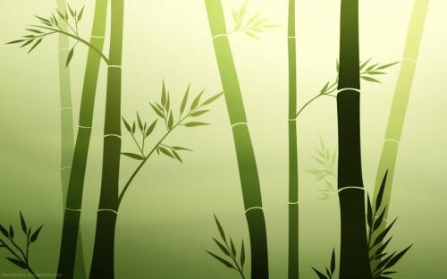 Un cuento para compartir: El Bambú Japones